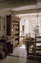 Illustration - Ile de Ré