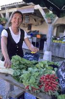 Illustration - Ile de Ré