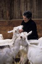 Illustration - Ile de Ré