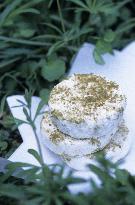 Illustration - Ile de Ré