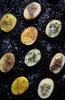 Illustration - Ile de Ré