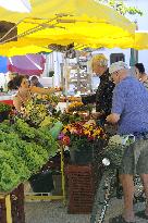 Illustration - Ile de Ré