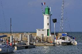 Illustration - Ile de Ré