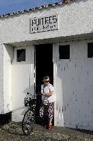 Illustration - Ile de Ré