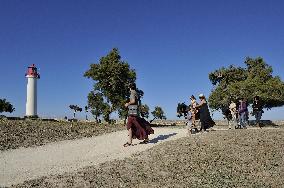 Illustration - Ile de Ré