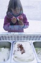 Illustration - Ile de Ré