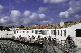 Illustration - Ile de Ré