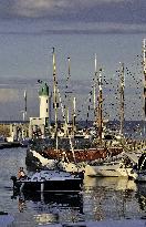 Illustration - Ile de Ré