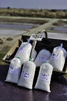 Illustration - Ile de Ré