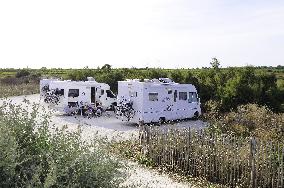 Illustration - Ile de Ré