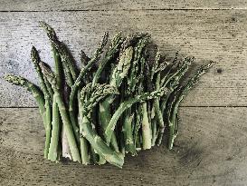 Illustration - Ile de Ré