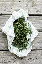 Illustration - Ile de Ré