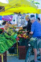 Illustration - Ile de Ré