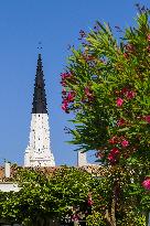 Illustration - Ile de Ré