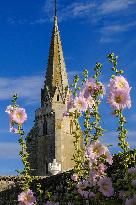 Illustration - Ile de Ré