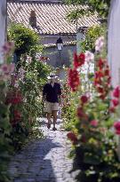 Illustration - Ile de Ré