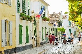 Illustration - Ile de Ré