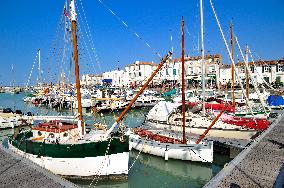 Illustration - Ile de Ré