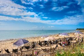 Illustration - Ile de Ré