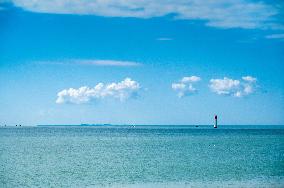 Illustration - Ile de Ré