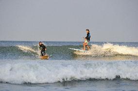 Illustration - Ile de Ré