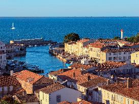 Illustration - Ile de Ré