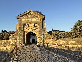 Illustration - Ile de Ré