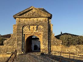 Illustration - Ile de Ré