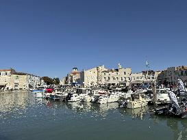 Illustration - Ile de Ré