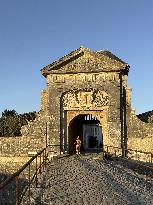 Illustration - Ile de Ré