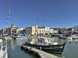 Illustration - Ile de Ré