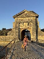 Illustration - Ile de Ré