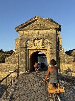 Illustration - Ile de Ré