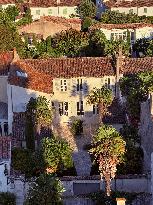 Illustration - Ile de Ré