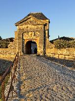 Illustration - Ile de Ré