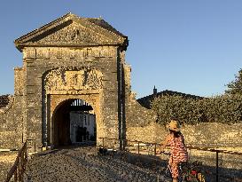 Illustration - Ile de Ré
