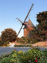 Illustration - Ile de Ré