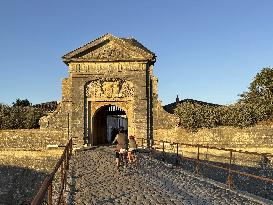 Illustration - Ile de Ré