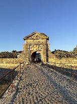 Illustration - Ile de Ré