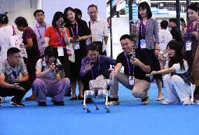 22nd China-ASEAN Expo - China