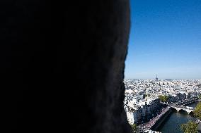 Inauguration of The Towers of Notre-Dame Cathedral - Paris