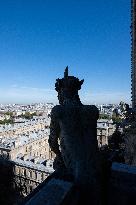 Inauguration of The Towers of Notre-Dame Cathedral - Paris