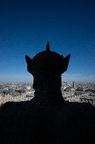 Inauguration of The Towers of Notre-Dame Cathedral - Paris