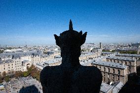 Inauguration of The Towers of Notre-Dame Cathedral - Paris