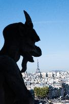 Inauguration of The Towers of Notre-Dame Cathedral - Paris