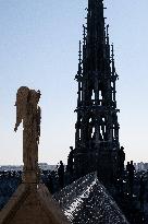 Inauguration of The Towers of Notre-Dame Cathedral - Paris