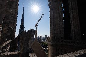 Inauguration of The Towers of Notre-Dame Cathedral - Paris