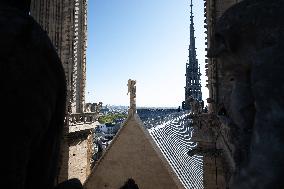 Inauguration of The Towers of Notre-Dame Cathedral - Paris