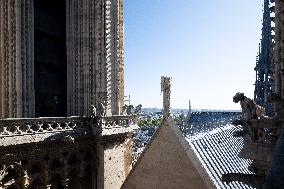 Inauguration of The Towers of Notre-Dame Cathedral - Paris