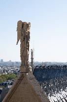 Inauguration of The Towers of Notre-Dame Cathedral - Paris